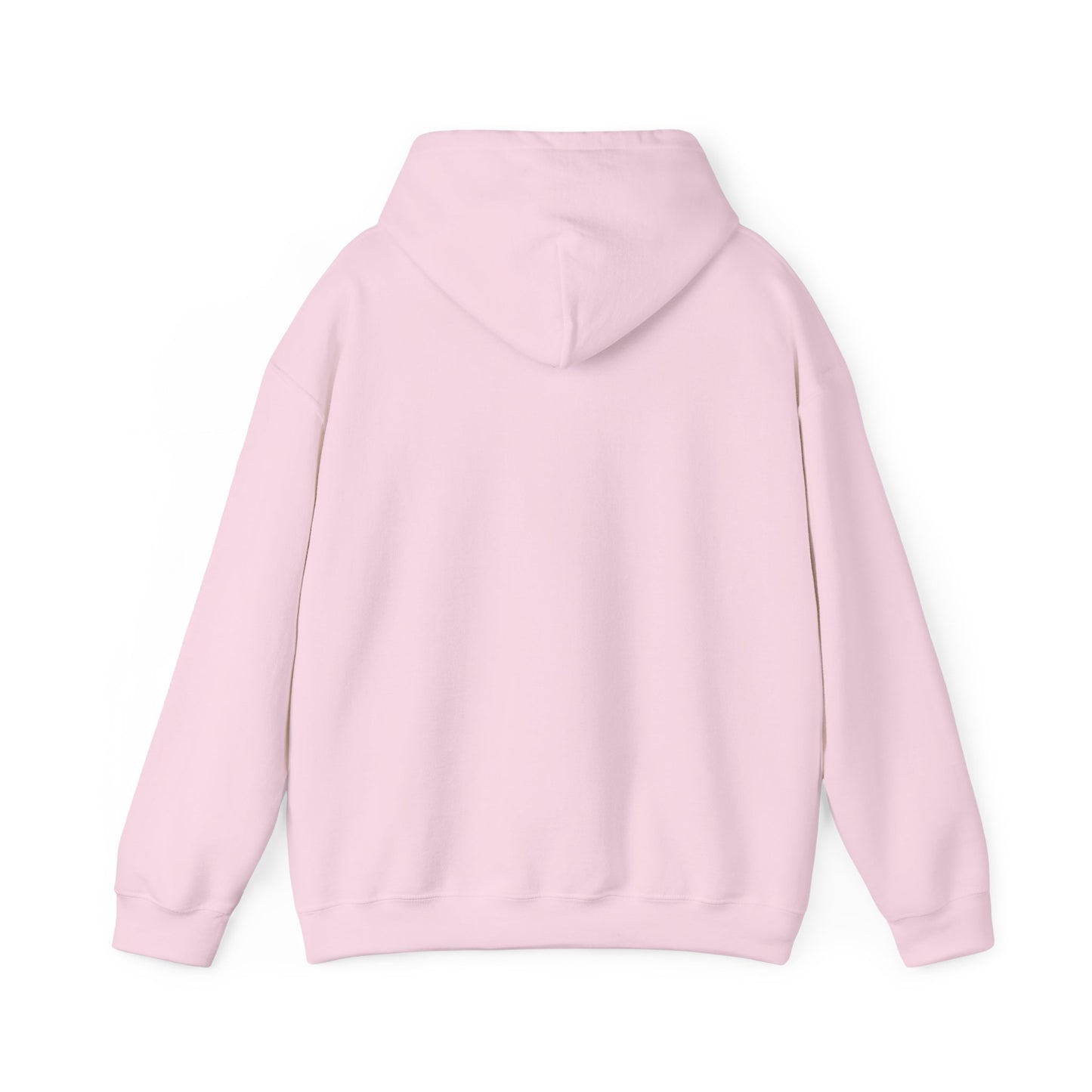 Dinero’s Grooming Co.  Hoodie — Small Teal Chest Logo