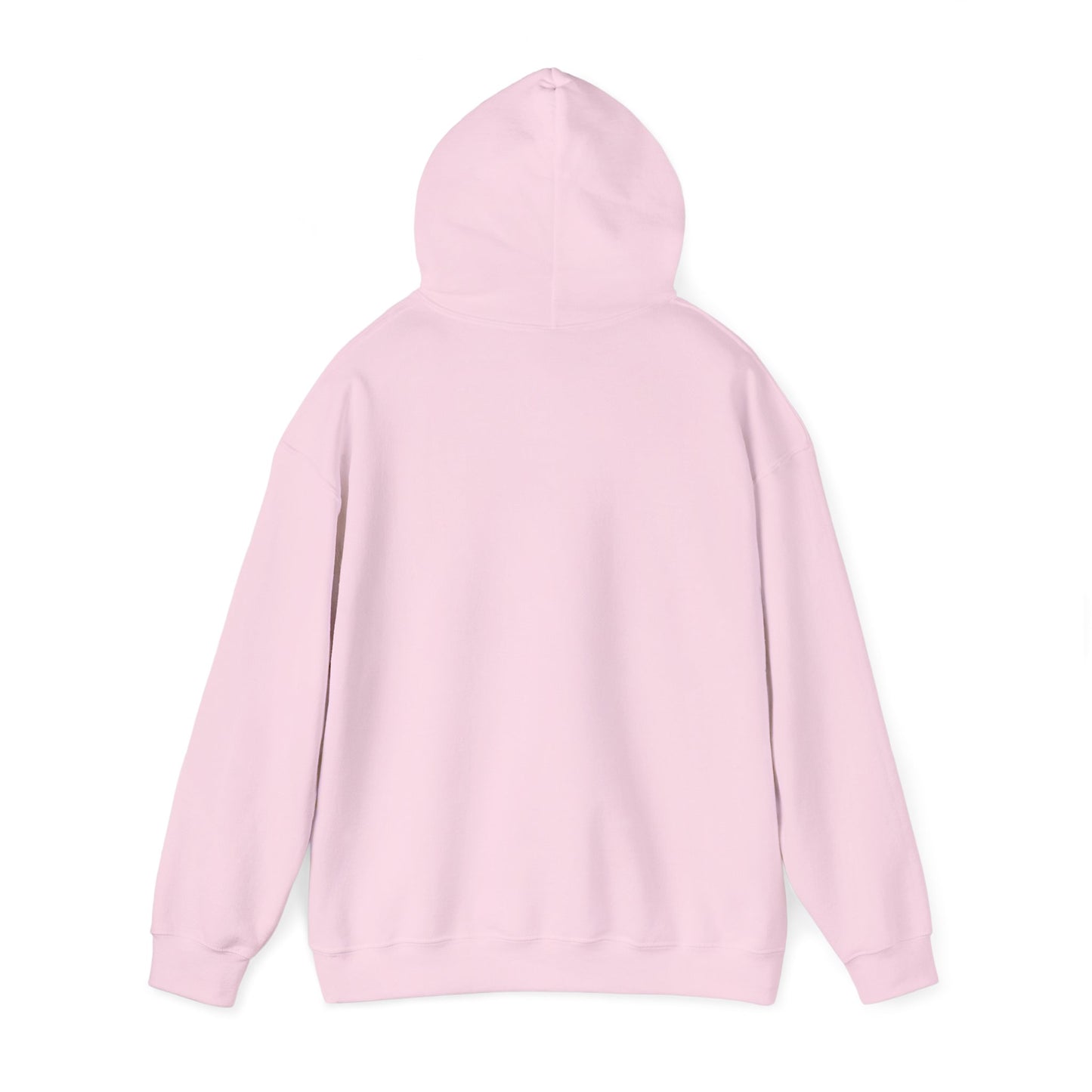 Dinero’s Grooming Co.  Hoodie — Small Teal Chest Logo