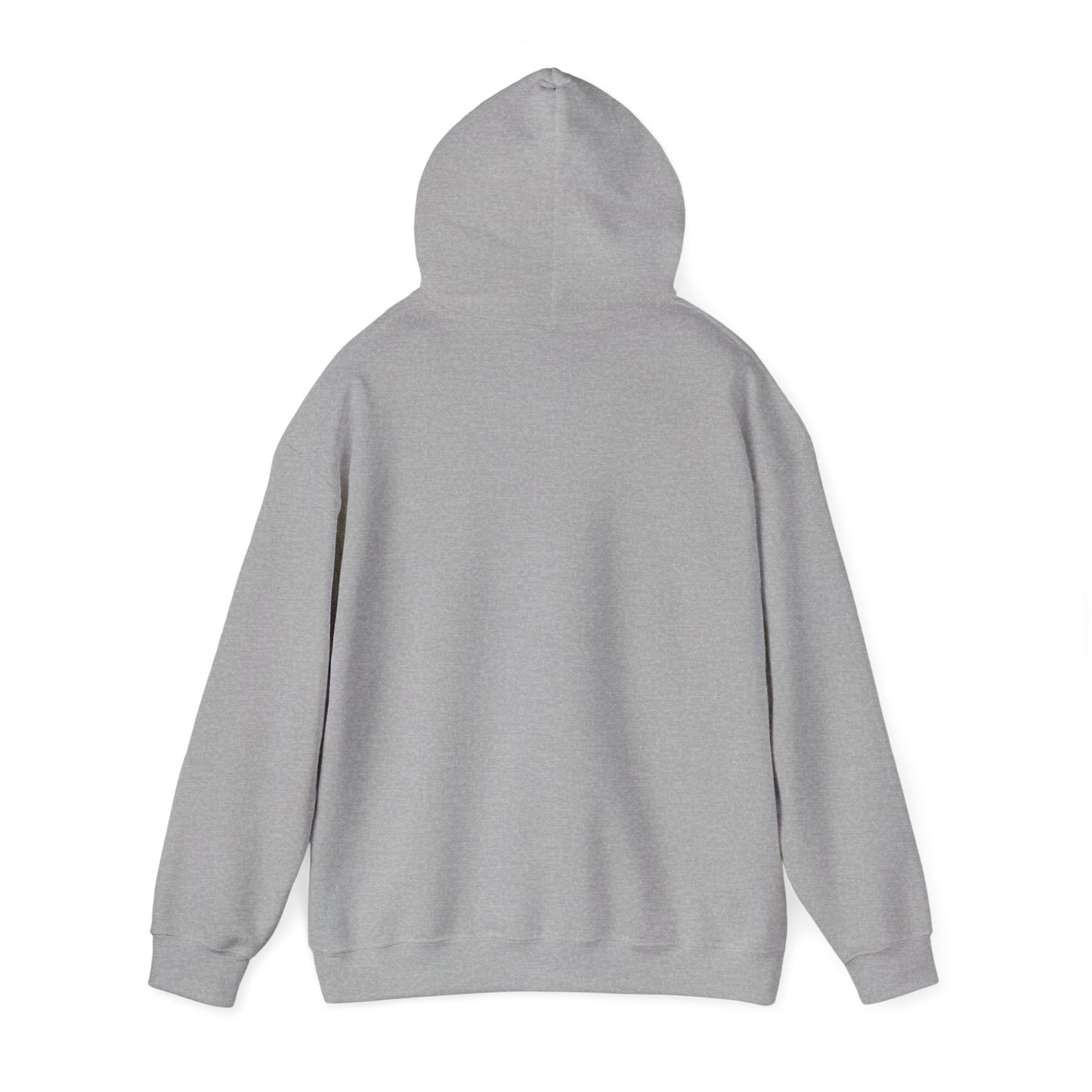 Dinero’s Grooming Co.  Hoodie — Small Teal Chest Logo
