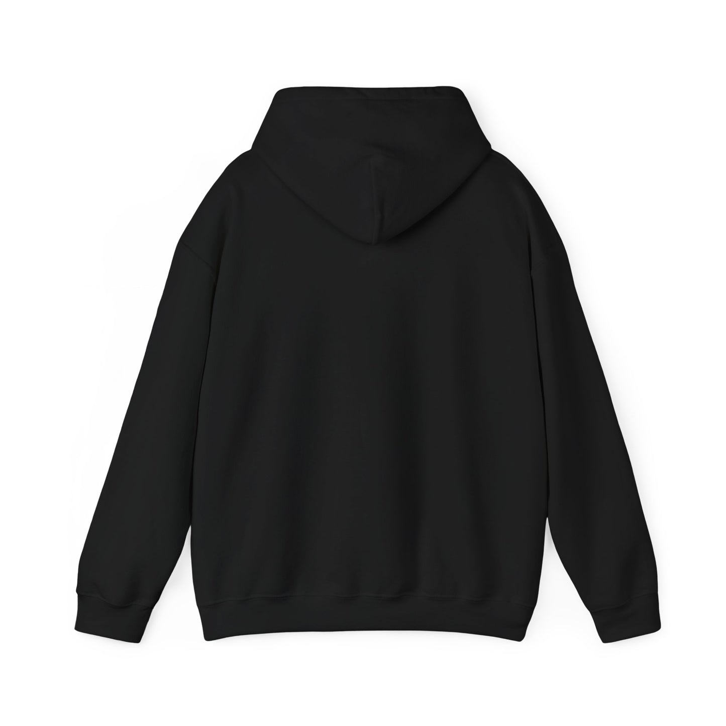 Dinero’s Grooming Co.  Hoodie — Small Teal Chest Logo